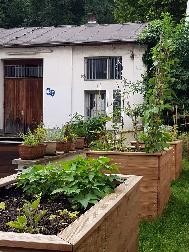 URBAN GARDENING