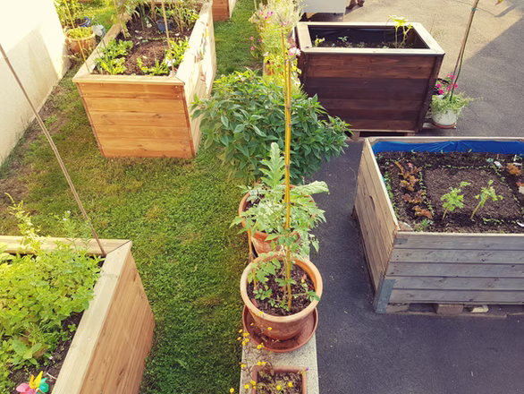 URBAN GARDENING