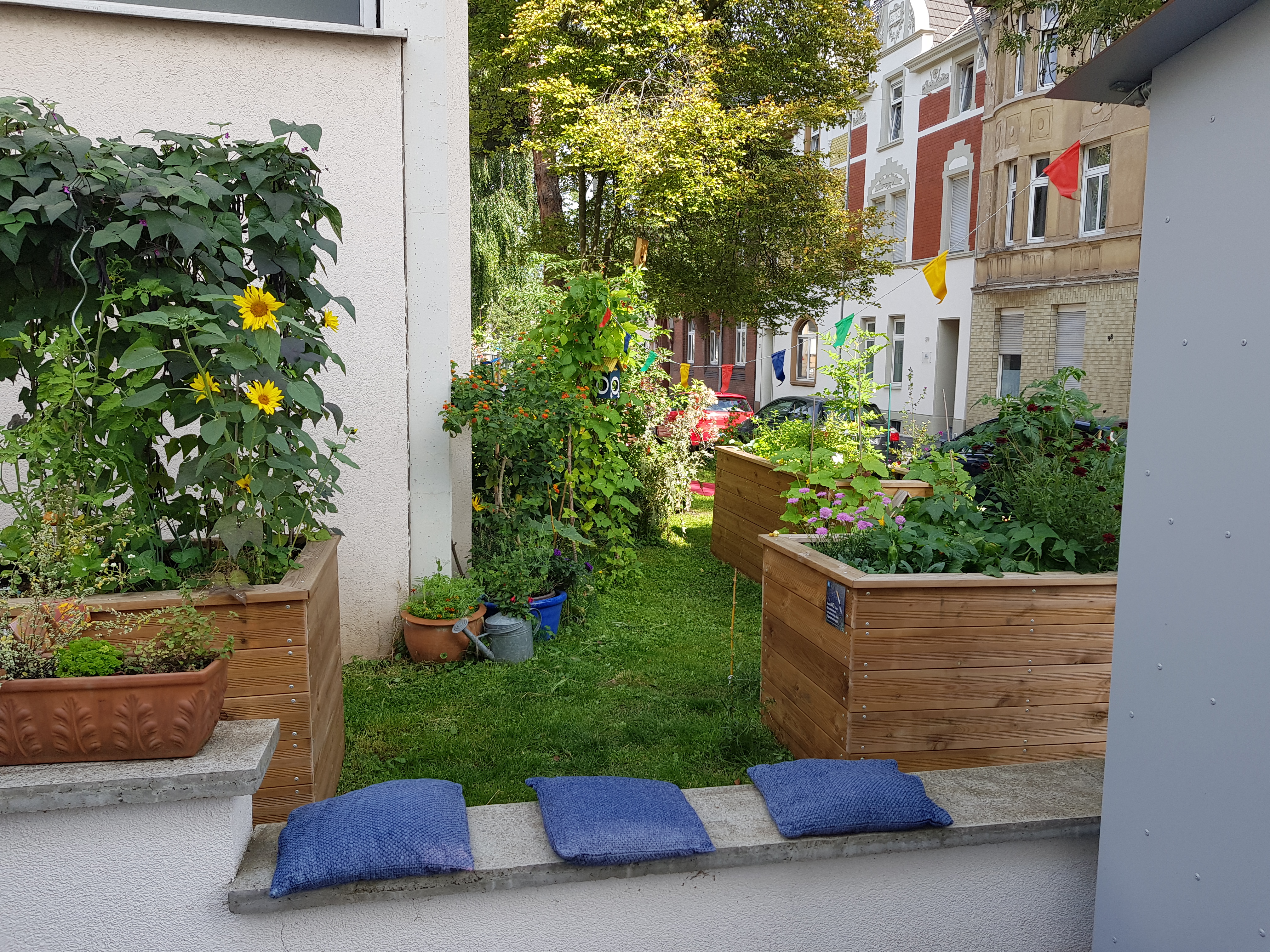 URBAN GARDENING